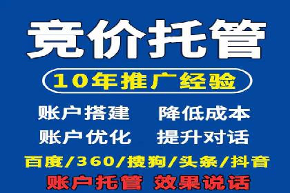 某行业领军企业的SEM广告投放策略